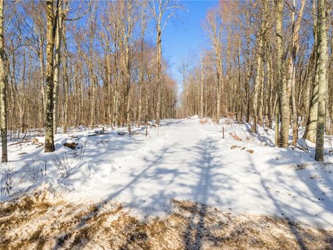 Tiny photo for Hollenbeck Road, Worcester, NY 12197 (MLS # R1654077)