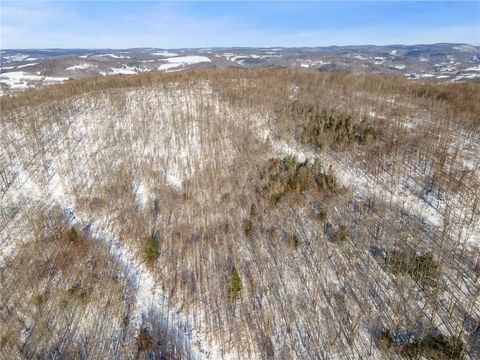 Tiny photo for Hollenbeck Road, Worcester, NY 12197 (MLS # R1654077)