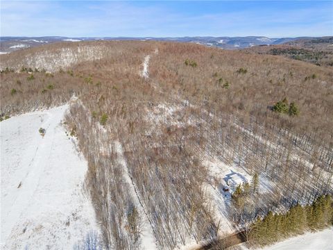 Tiny photo for Hollenbeck Road, Worcester, NY 12197 (MLS # R1654077)