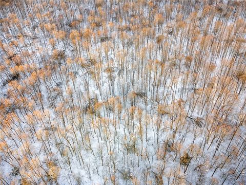 Tiny photo for Hollenbeck Road, Worcester, NY 12197 (MLS # R1654077)