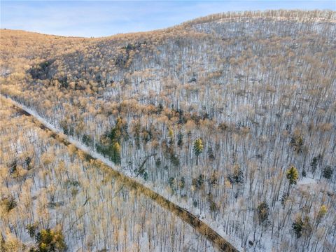 Tiny photo for Hollenbeck Road, Worcester, NY 12197 (MLS # R1654077)