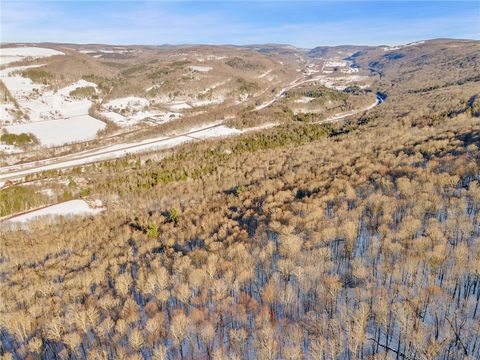 Tiny photo for Hollenbeck Road, Worcester, NY 12197 (MLS # R1654077)