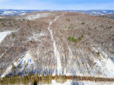 Tiny photo for Hollenbeck Road, Worcester, NY 12197 (MLS # R1654077)