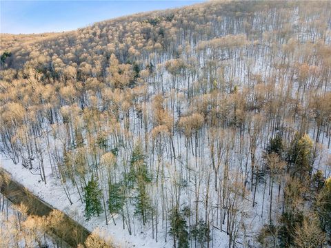 Tiny photo for Hollenbeck Road, Worcester, NY 12197 (MLS # R1654077)