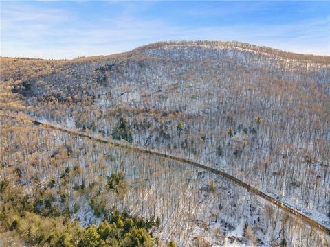 Tiny photo for Hollenbeck Road, Worcester, NY 12197 (MLS # R1654077)