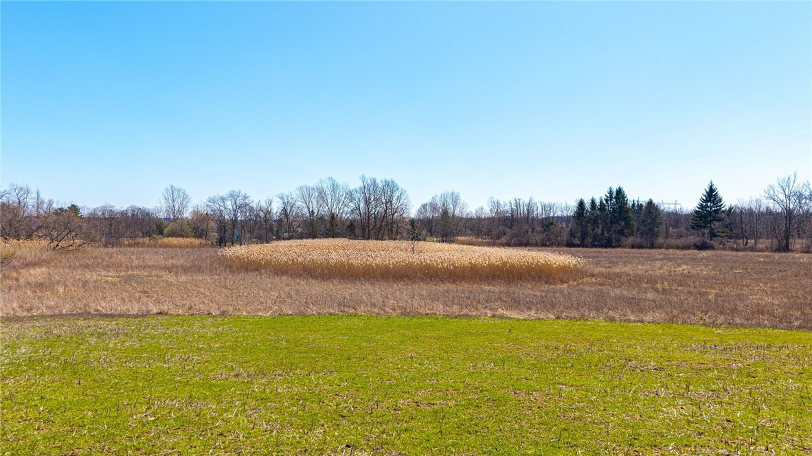 260 W Bloomfield Road