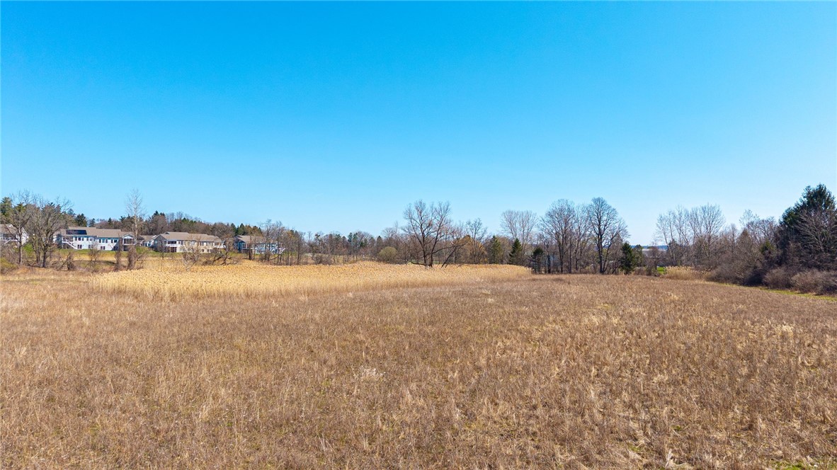 260 W Bloomfield Road