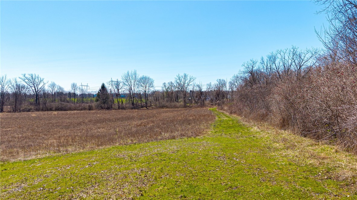 260 W Bloomfield Road