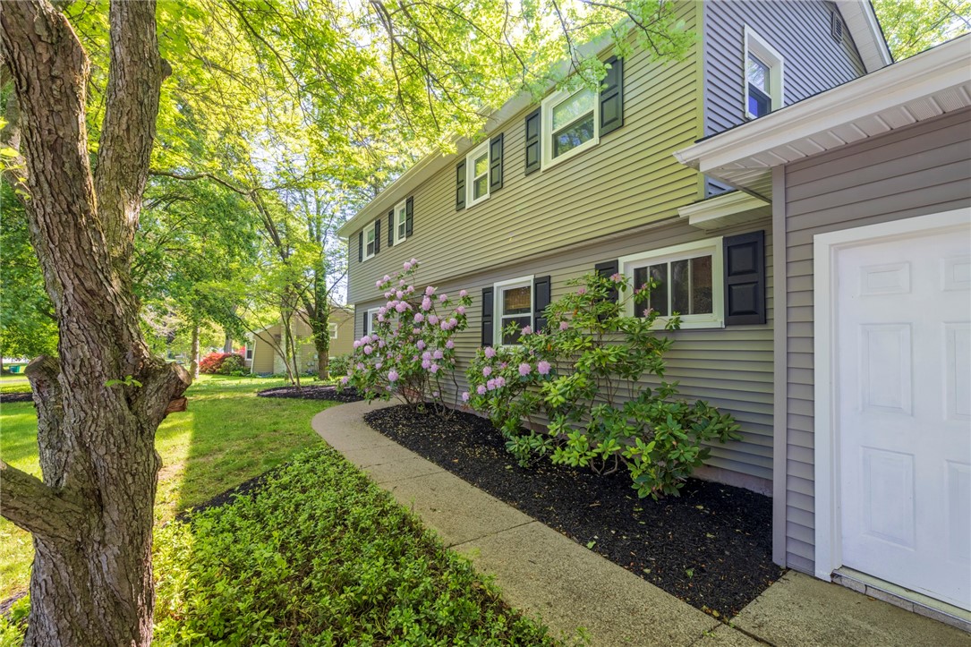 Search Properties 4 305 warren avenue