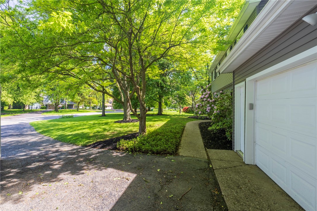 Search Properties 3 305 warren avenue
