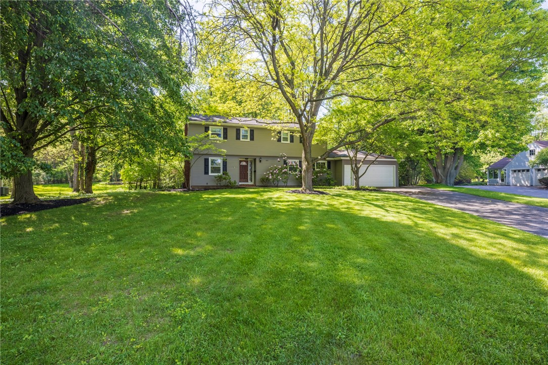 Search Properties 2 305 warren avenue