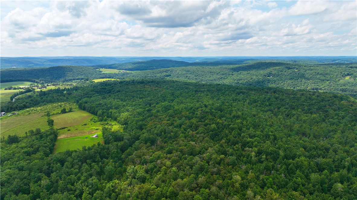 Painter Hill, Oxford, New York image 9