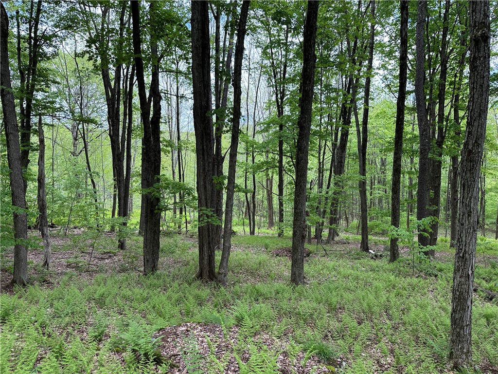 Woodland Hills Road, Andes, New York image 8