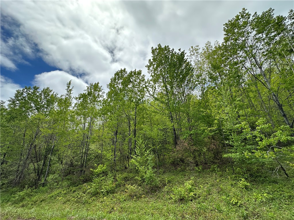 Woodland Hills Road, Andes, New York image 9