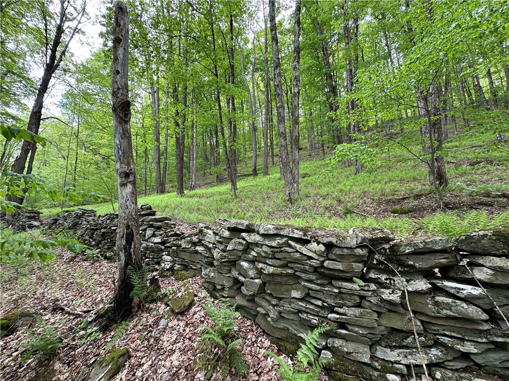 Woodland Hills Road, Andes, New York image 13