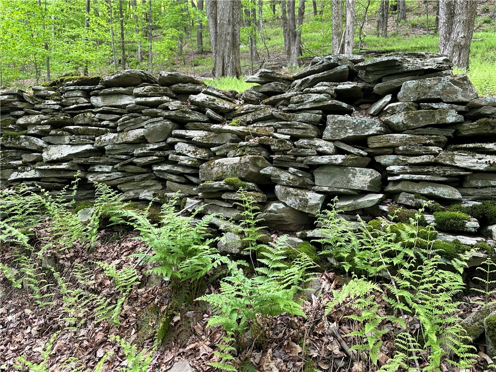 Woodland Hills Road, Andes, New York image 7