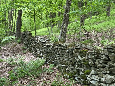 Vacant Land For Sale - Woodland Hills Road<br/> Andes, NY 13731