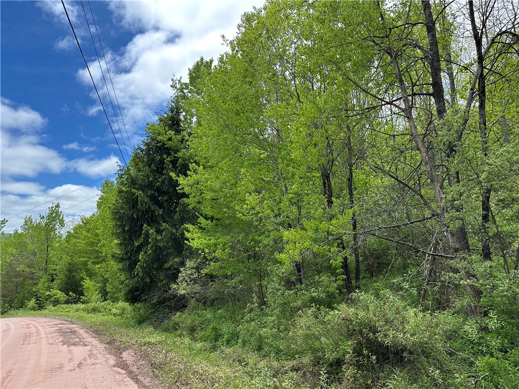 Woodland Hills Road, Andes, New York image 15
