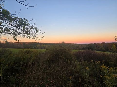 Vacant Land For Sale - Hardknocks Road<br/> Unadilla, NY 13849