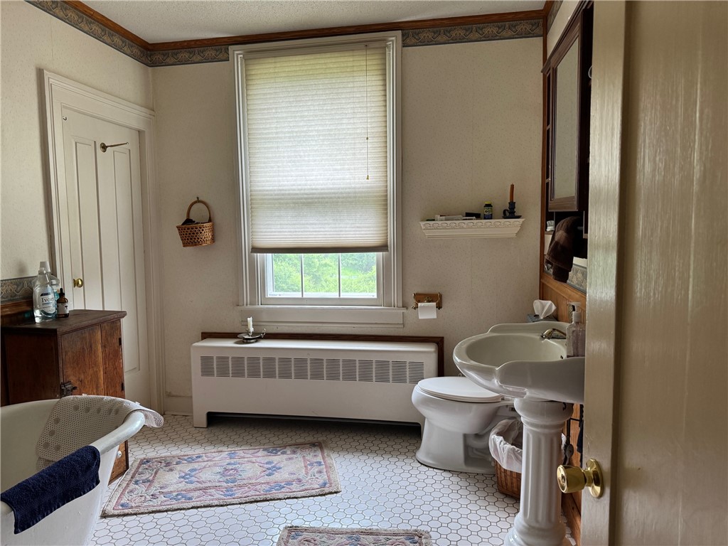 1604 Moland Road, Alfred, New York image 25