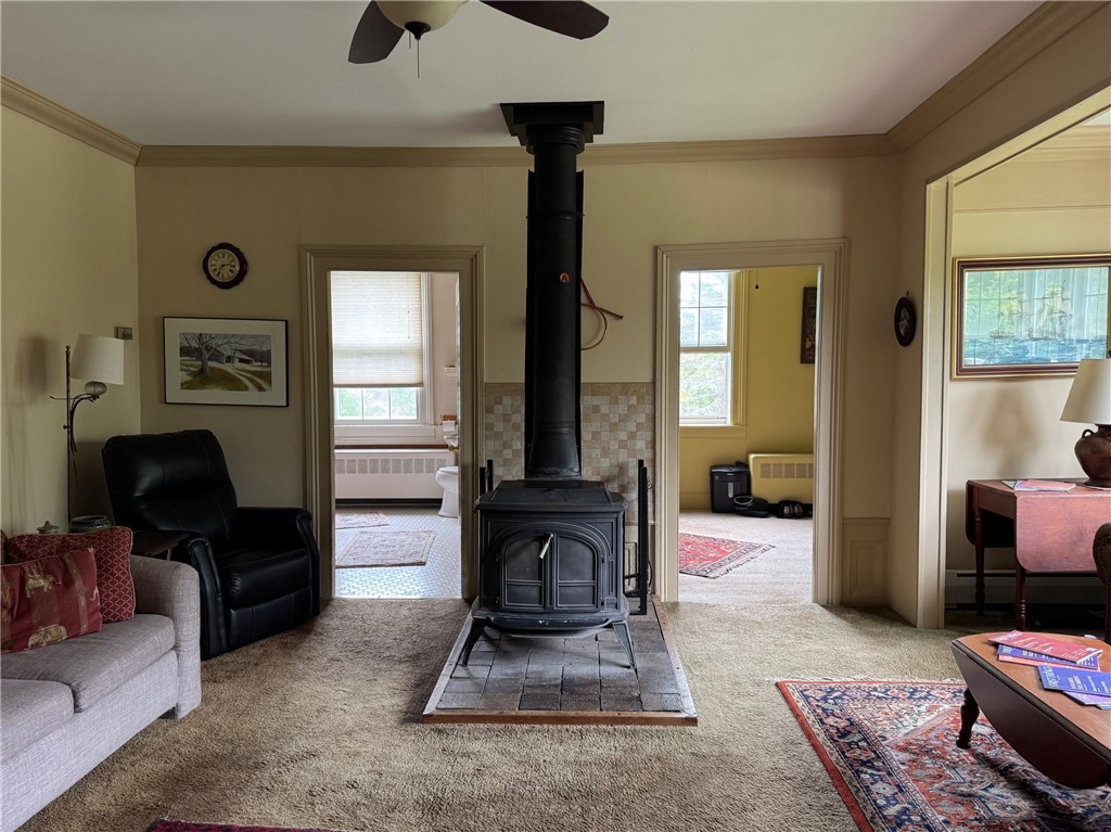 1604 Moland Road, Alfred, New York image 22