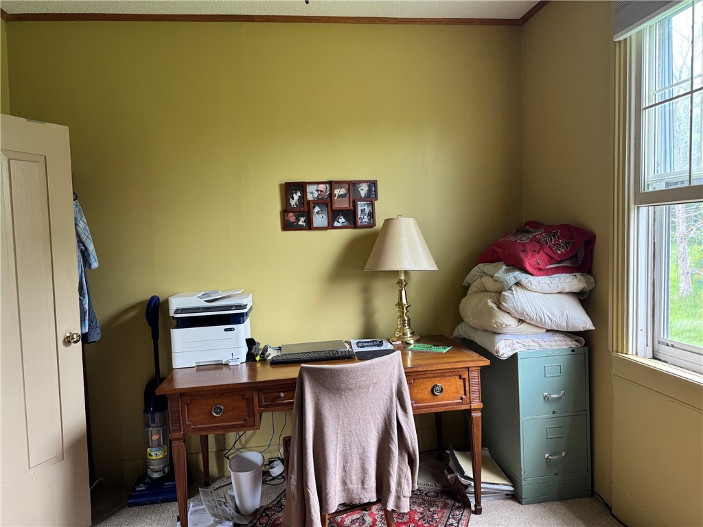 1604 Moland Road, Alfred, New York image 28