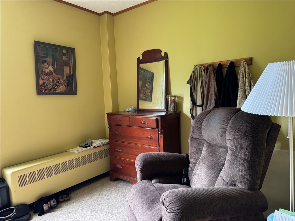 1604 Moland Road, Alfred, New York image 27