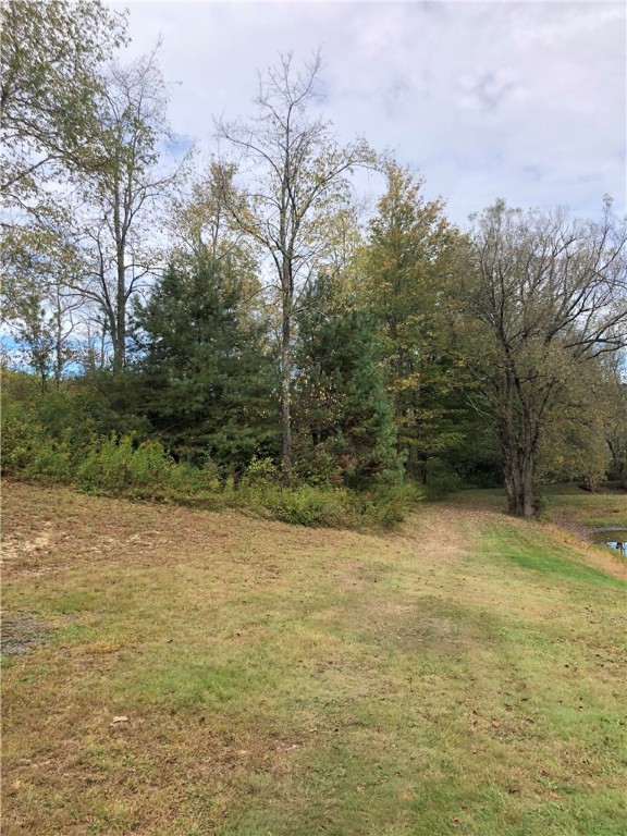 536 Bardin Road, New Lisbon, New York image 22
