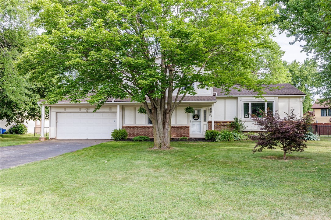 Search Properties 1 131 cindy lane