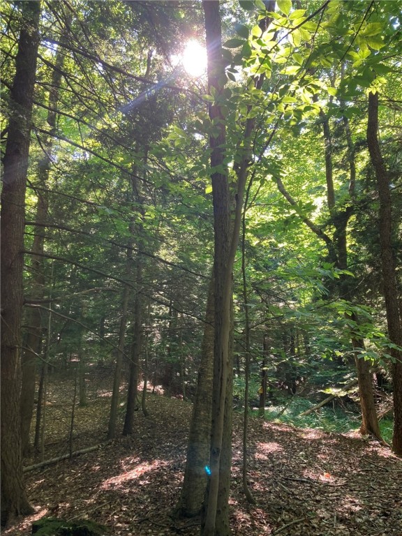 Sanford Road, Sterling, New York image 29