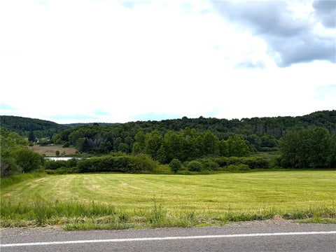 Vacant Land For Sale - LOT 2 Summit Road<br/> Cuba, NY 14727