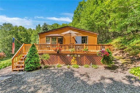 Homes For Sale - 380 Bendzunas Road<br/> Delaware County, Hamden, NY 13782