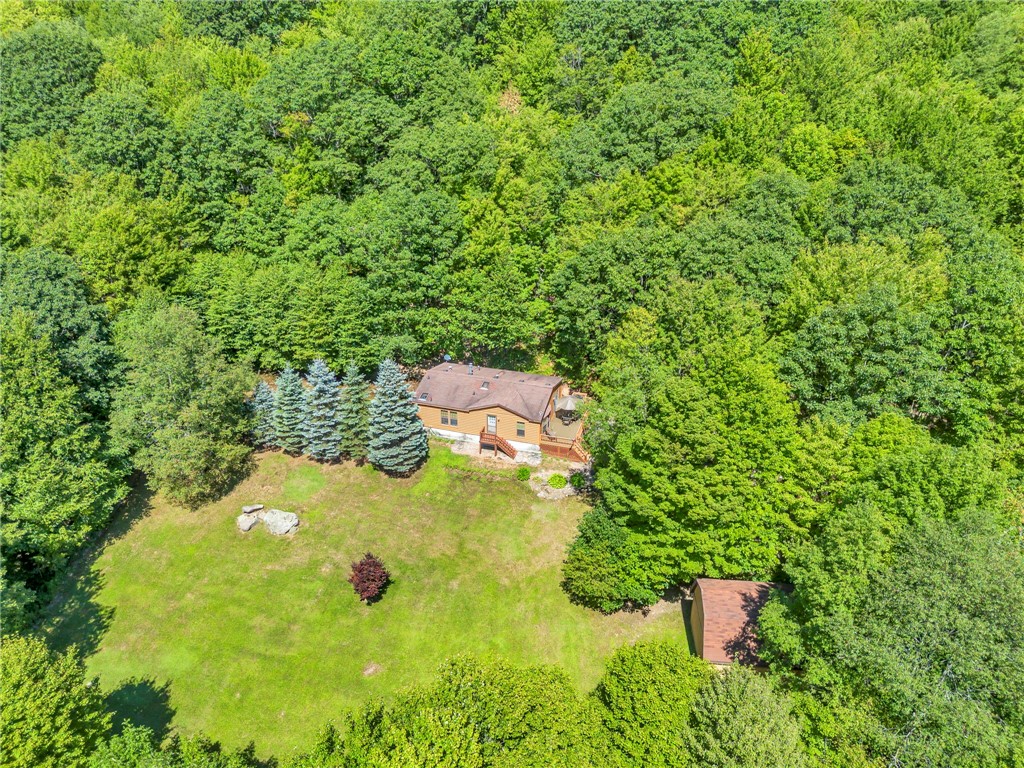 380 bendzunas road