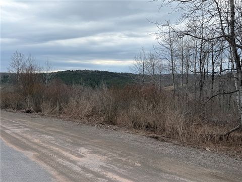 Vacant Land For Sale - Mary Lynne Lane<br/> Chenango County, Guilford, NY 13780
