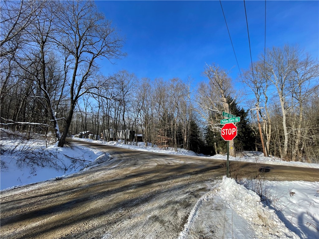 399 Potato Farm Road, Morris, New York image 19