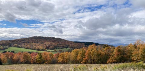 Tiny photo for 415 Ford Road, Bovina, NY 13740 (MLS # R1708557)