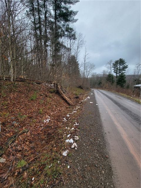 Vacant Land For Sale - Schlafer Road<br/> Chenango County, Guilford, NY 13780