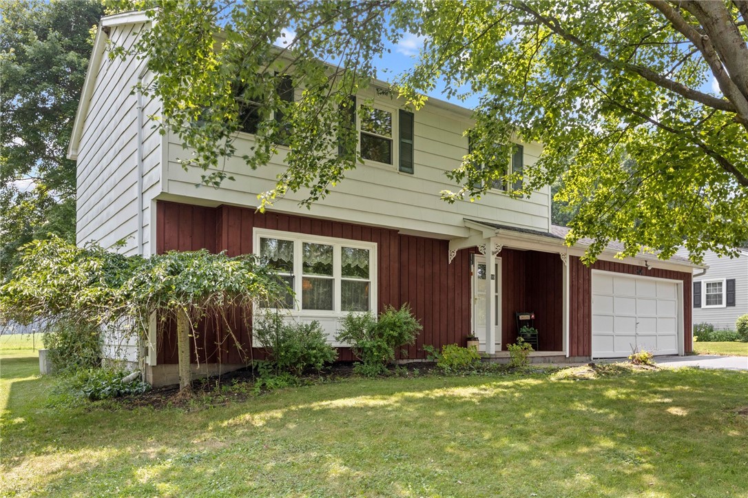 Search Properties 1 99 paddy lane