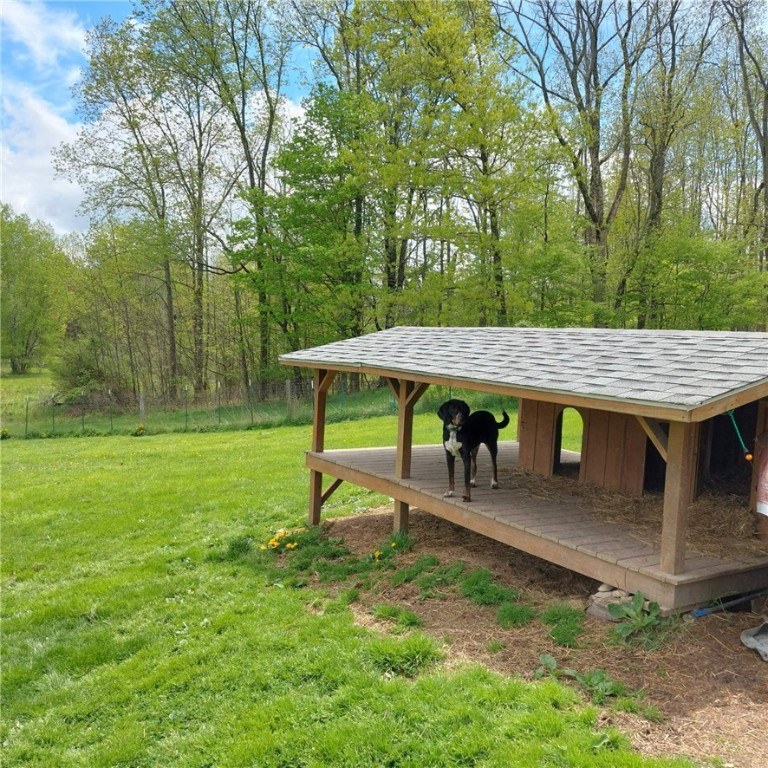 4510 Colvin Hill Road, Troupsburg, New York image 43