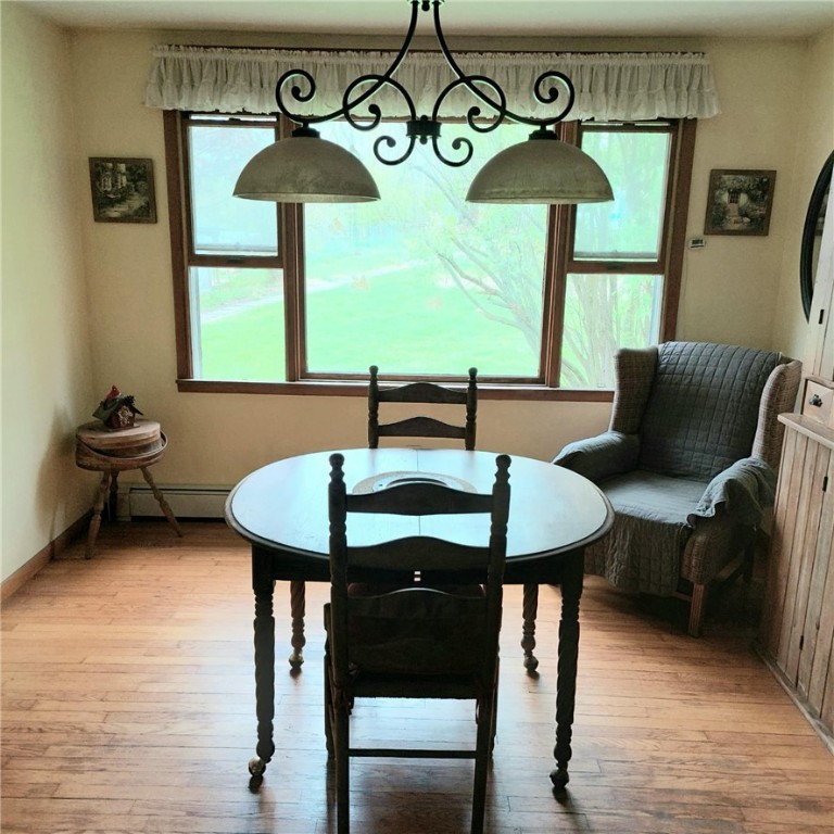 4510 Colvin Hill Road, Troupsburg, New York image 12