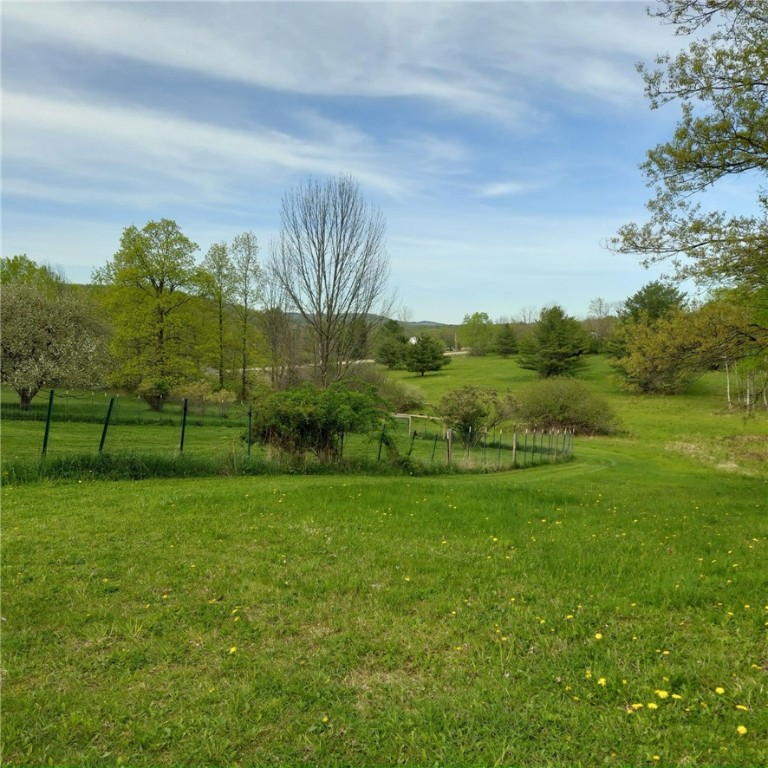 4510 Colvin Hill Road, Troupsburg, New York image 49