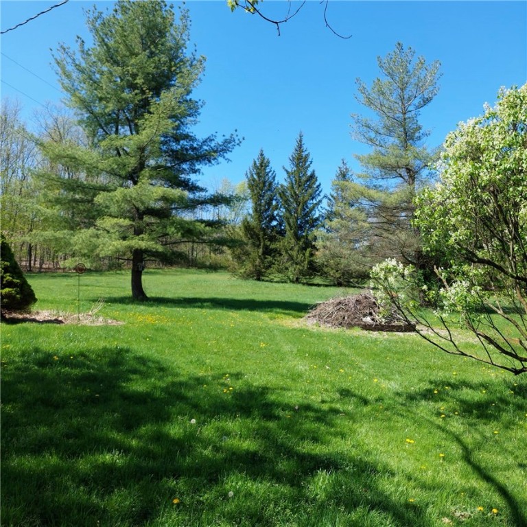 4510 Colvin Hill Road, Troupsburg, New York image 48