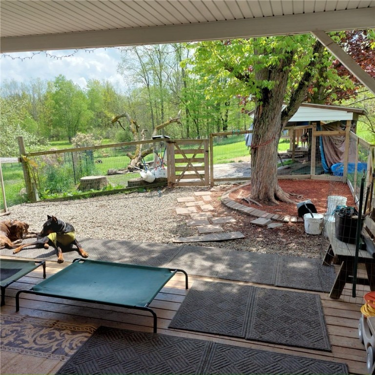 4510 Colvin Hill Road, Troupsburg, New York image 42