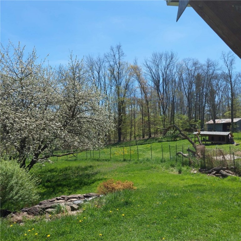 4510 Colvin Hill Road, Troupsburg, New York image 44