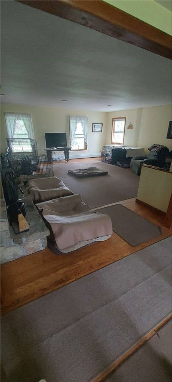 4510 Colvin Hill Road, Troupsburg, New York image 8
