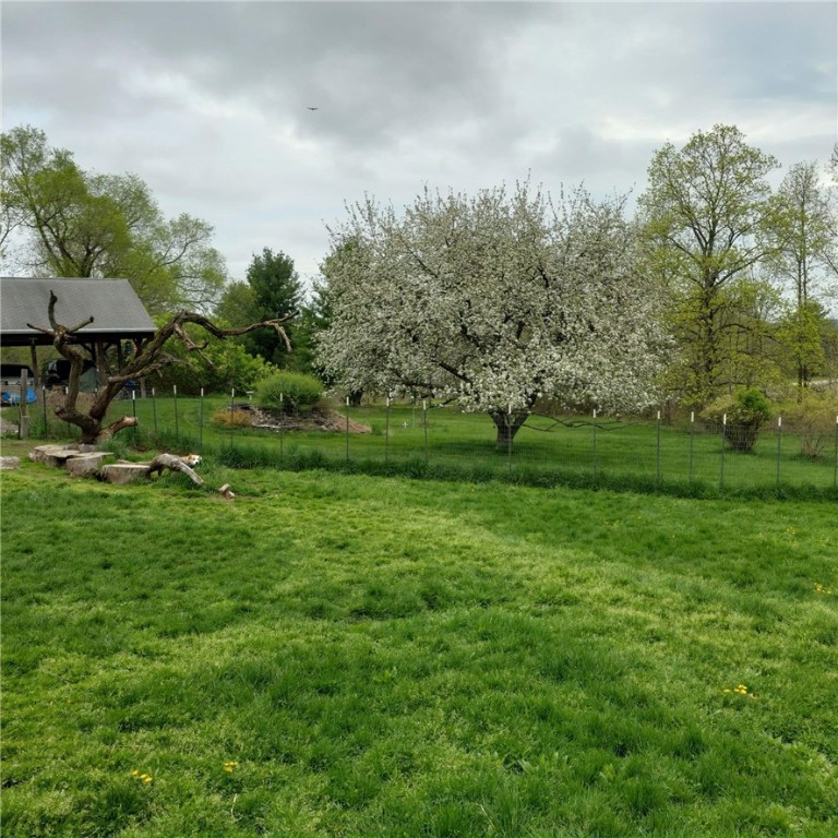 4510 Colvin Hill Road, Troupsburg, New York image 45