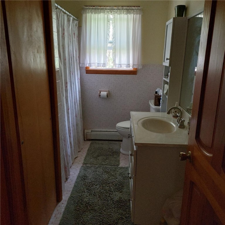 4510 Colvin Hill Road, Troupsburg, New York image 14