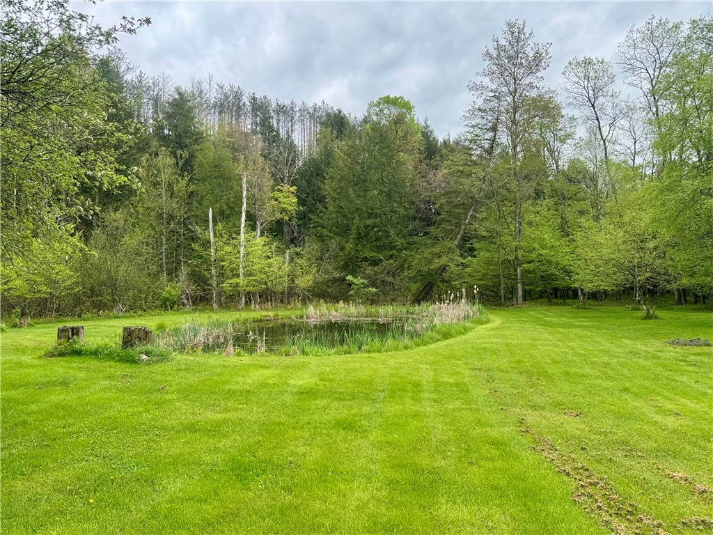 405 County Highway 12, Laurens, New York image 31