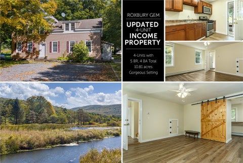 Multifamily For Sale - 71 Teichman Road<br/> Roxbury, NY 12474
