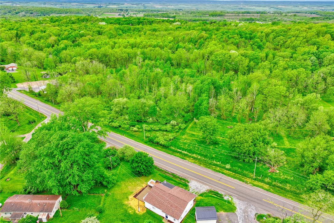 6608 Scenery Place, Conesus, New York image 48